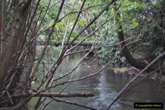 087.2021-10-27-SR-Track-Gang-more-Corfe-Castle-lineside-work.-87-