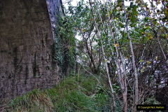 088.2021-10-27-SR-Track-Gang-more-Corfe-Castle-lineside-work.-88-