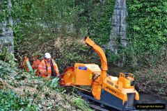 112.2021-10-27-SR-Track-Gang-more-Corfe-Castle-lineside-work.-112-