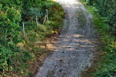 010.2021-09-23-SR-Lineside-work-between-Bridge-3-4.-10