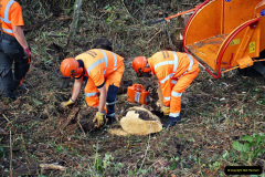 046.2021-09-23-SR-Lineside-work-between-Bridge-3-4.-46