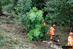 084.2021-09-23-SR-Lineside-work-between-Bridge-3-4.-84
