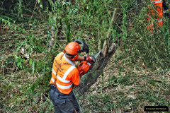 116.2021-09-23-SR-Lineside-work-between-Bridge-3-4.-116