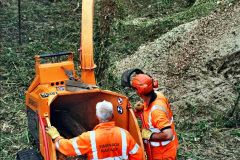 125.2021-09-23-SR-Lineside-work-between-Bridge-3-4.-125