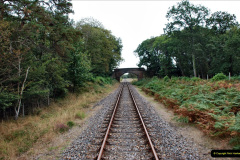 129.2021-09-23-SR-Lineside-work-between-Bridge-3-4.-129