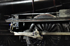 012.2021-12-19-SR-Steam-Lights-3.-12-