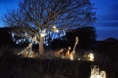 032.2022-12-17-Swanage-Railway-Steam-Lights.-45-