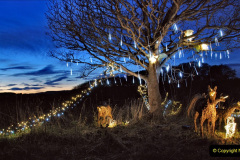 033.2022-12-17-Swanage-Railway-Steam-Lights.-46-