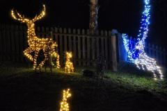 071.2022-12-03-SR-Steam-Lights.-71-