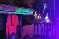 079.2022-12-03-SR-Steam-Lights.-79-