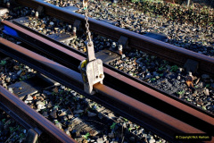 019.2022-02-03-SR-Bridge-3-timber-renewal.-No.7.-19-