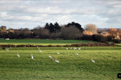 150.2022-02-09-Forth-Bridge-SR-Bridges-3-4-timber-renewal.-No.9-150-Bridge-check-at-Creach.-