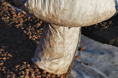 035.2022-01-14-Corfe-Castle-station-track-renewal-DAY-5.-35-Track-gang-of-years-past.-