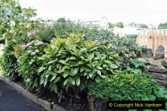 045.2022-06-29-SR-Gardening-Club.-45-