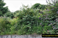 062.2022-06-29-SR-Gardening-Club.-62-