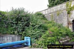 063.2022-06-29-SR-Gardening-Club.-63-