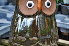 017.2023-02-24-Holme-Garden-Centre-Garden-Wareham-Dorset.-17-