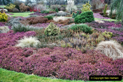 047.2023-02-24-Holme-Garden-Centre-Garden-Wareham-Dorset.-47-