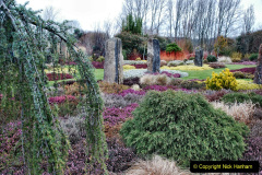 049.2023-02-24-Holme-Garden-Centre-Garden-Wareham-Dorset.-49-