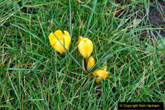 075.2023-02-24-Holme-Garden-Centre-Garden-Wareham-Dorset.-75-