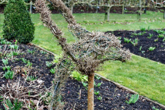 086.2023-02-24-Holme-Garden-Centre-Garden-Wareham-Dorset.-86-