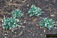 089.2023-02-24-Holme-Garden-Centre-Garden-Wareham-Dorset.-89-