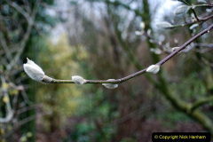 090.2023-02-24-Holme-Garden-Centre-Garden-Wareham-Dorset.-90-