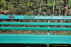 127.2023-04-04-SR-first-public-trial-train-to-Wareham.-127-