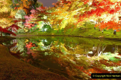 003.2023-04-10-Cherry-Blossom-Time-in-Japan.-3-