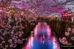 020.2023-04-10-Cherry-Blossom-Time-in-Japan.-20-