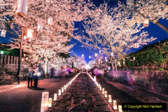 033.2023-04-10-Cherry-Blossom-Time-in-Japan.-33-