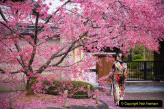 036.2023-04-10-Cherry-Blossom-Time-in-Japan.-36-