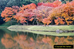 077.2023-04-10-Cherry-Blossom-Time-in-Japan.-77-