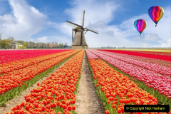 001.2023-04-11-Keukenhof-Gardens-Holland.-1-