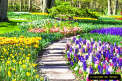 007.2023-04-11-Keukenhof-Gardens-Holland.-7-