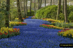 011.2023-04-11-Keukenhof-Gardens-Holland.-11-