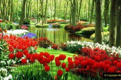 026.2023-04-11-Keukenhof-Gardens-Holland.-26-