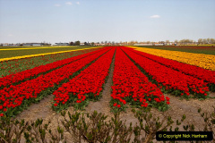 031.2023-04-11-Keukenhof-Gardens-Holland.-31-