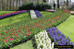 032.2023-04-11-Keukenhof-Gardens-Holland.-32-