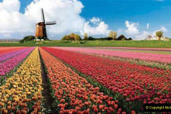 049.2023-04-11-Keukenhof-Gardens-Holland.-49-