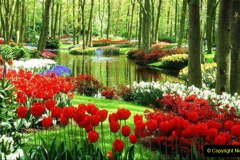 050.2023-04-11-Keukenhof-Gardens-Holland.-50-