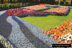 063.2023-04-11-Keukenhof-Gardens-Holland.-63-