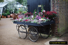 066.2023-04-11-Keukenhof-Gardens-Holland.-66-