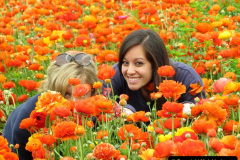 068.2023-04-11-Keukenhof-Gardens-Holland.-68-