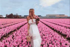 104.2023-04-11-Keukenhof-Gardens-Holland.-104-