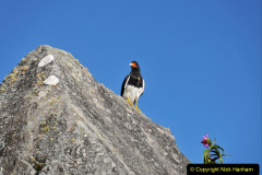 012.2023-04-20-Machu-Piccu-Peru.-12-