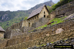 021.2023-04-20-Machu-Piccu-Peru.-21-