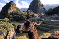 050.2023-04-20-Machu-Piccu-Peru.-50-