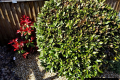 017.2023-04-21-Spring-tidy-up.-17-