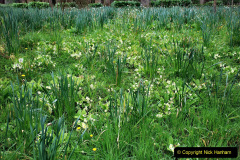 058.2023-04-29-Kingston-Lacy-NT-Late-Spring.-58-